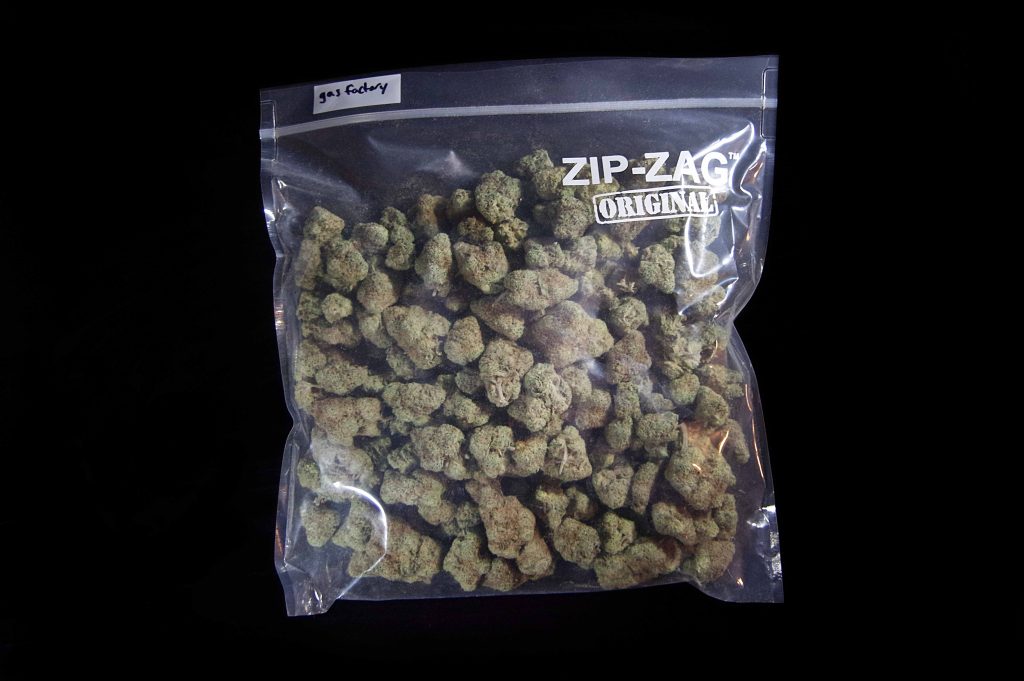 Dried Flower – Gas Factory (Indica Dominant Hybrid) - Image 2